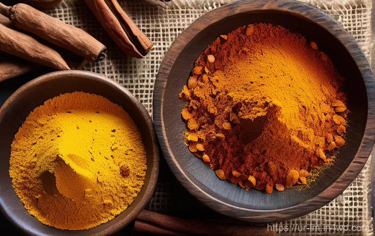 향신료 블렌드의 지역별 조리법 비교 - **Prompt:** "A close-up, photorealistic image showcasing the essence of South Asian spices. In the f...